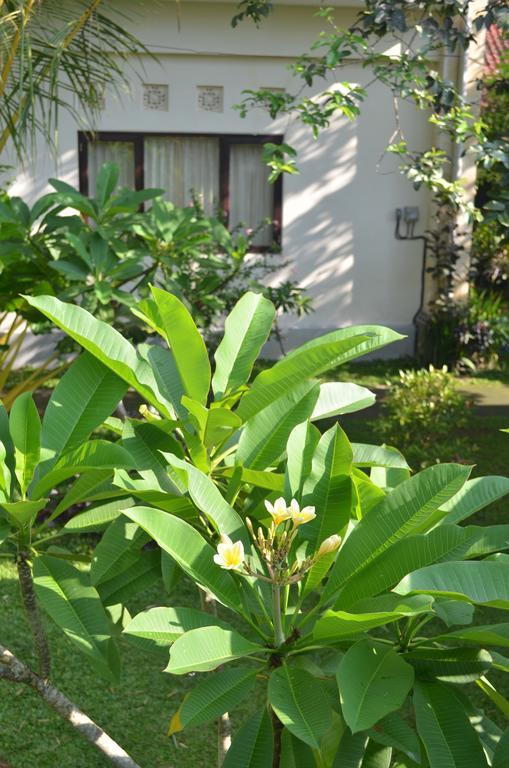 Wijaya Guest House Ubud Buitenkant foto